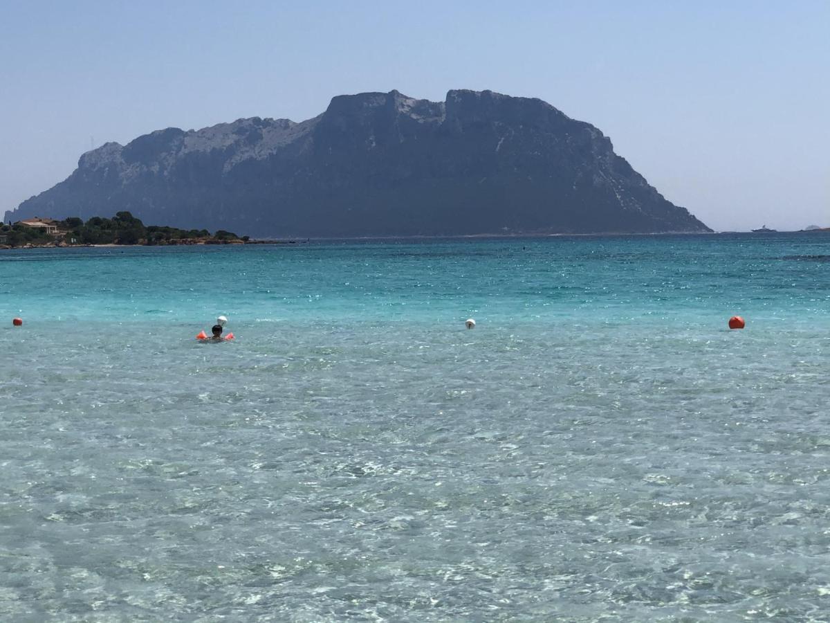 Iknos Guest House Olbia Eksteriør billede